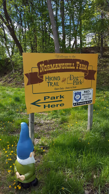 Normanskill Farm Dog Park